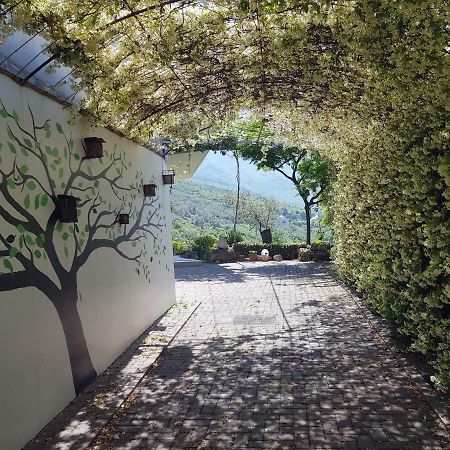 #Ioniahouse Surrel Villa Tiranë Eksteriør bilde