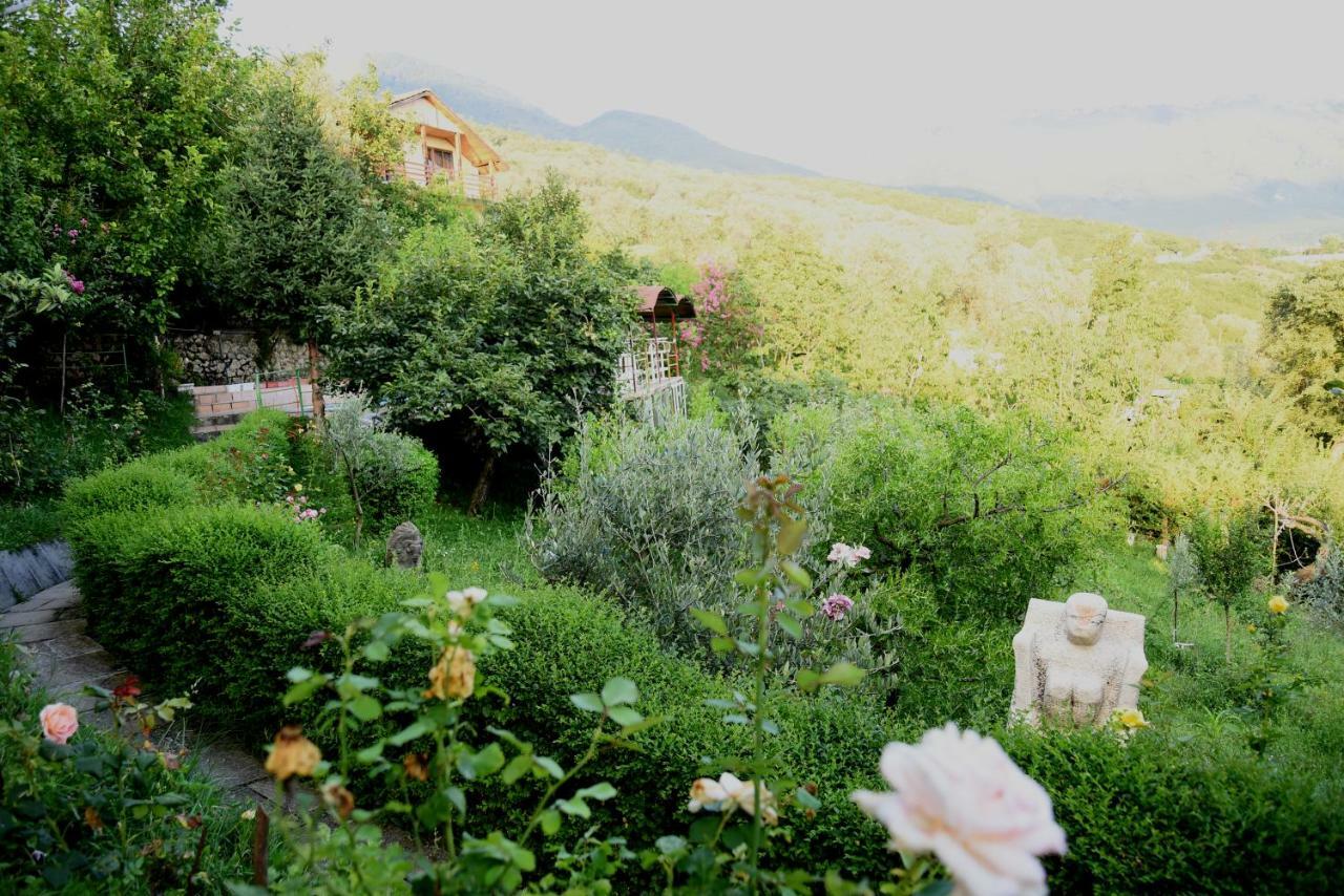 #Ioniahouse Surrel Villa Tiranë Eksteriør bilde