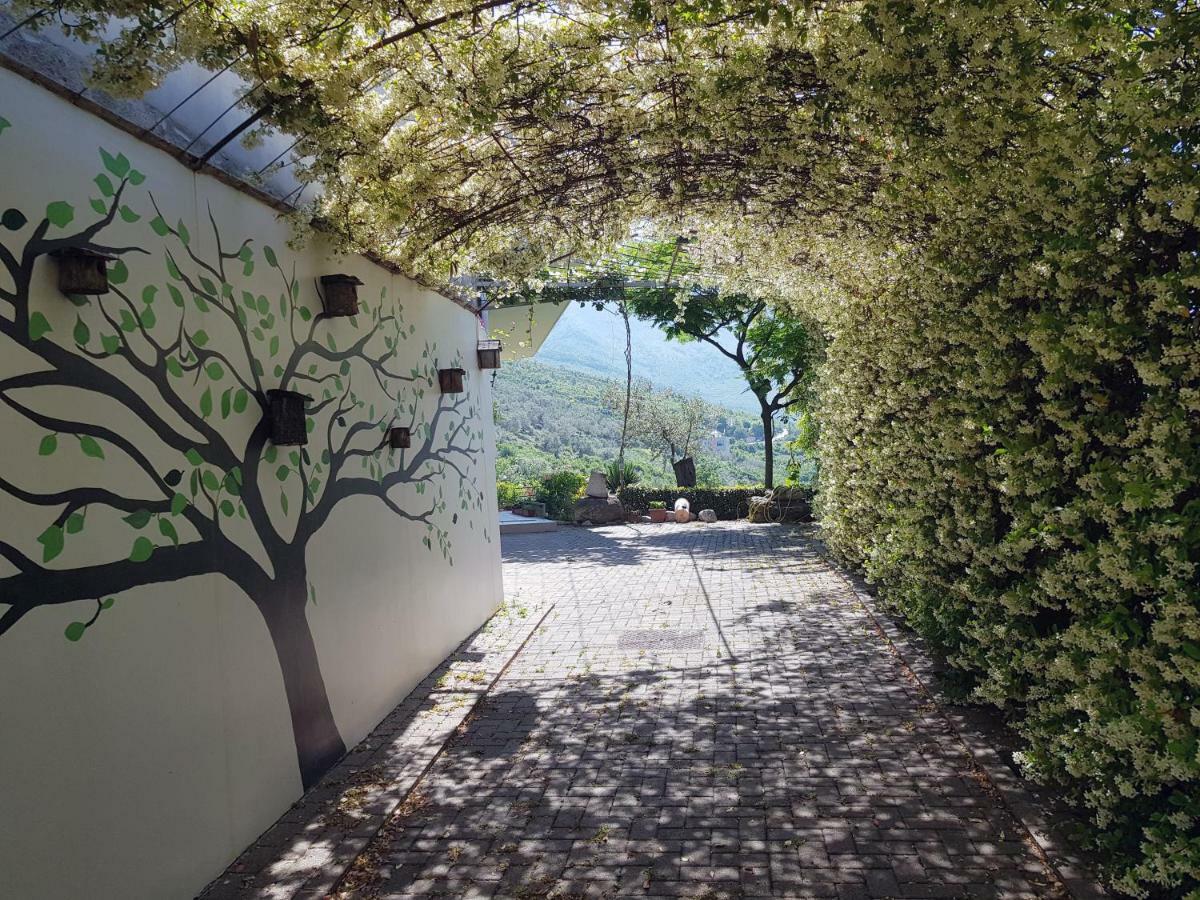 #Ioniahouse Surrel Villa Tiranë Eksteriør bilde